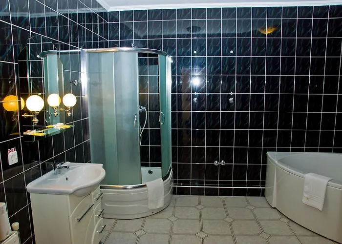 梅尔库里亚酒店 * 利沃夫